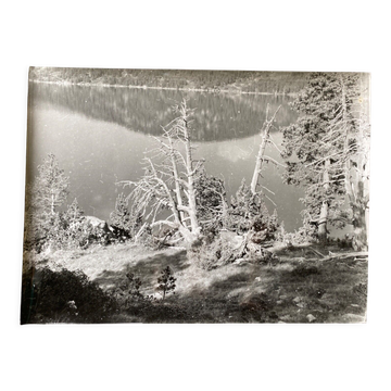 Photo argentique arbre mort devant lac n°4 bernard darot xxe