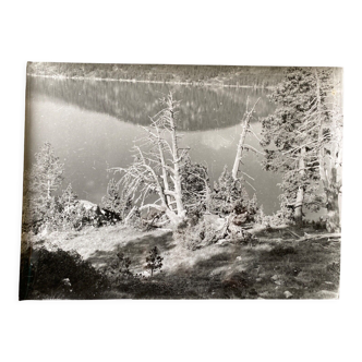 Photo silver dead tree in front of lake n°4 bernard darot xxth