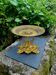 Large fruit bowl in solid brass Neo-Renaissance