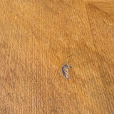 Large vintage Scandinavian style table