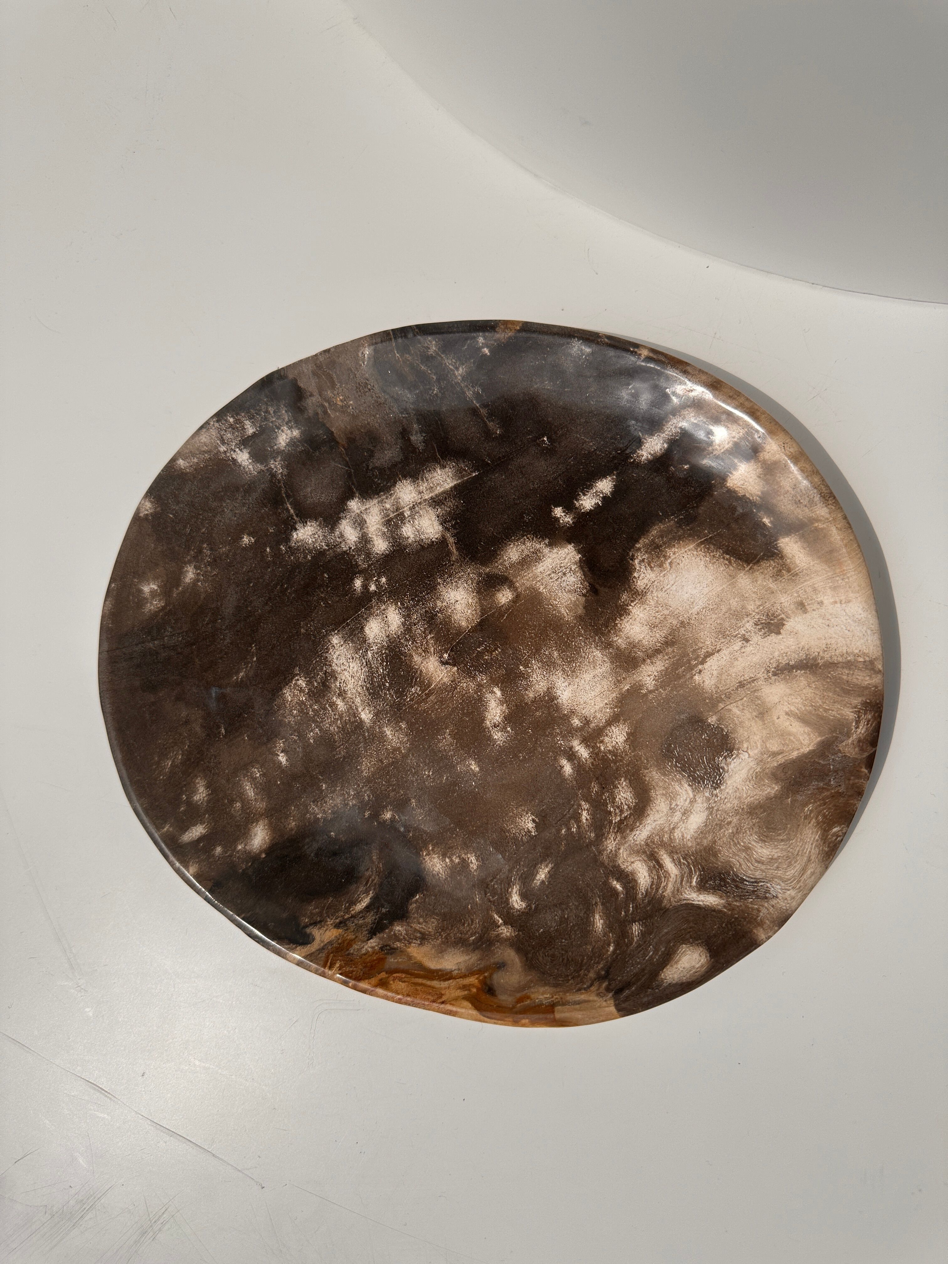 Dish in petrified wood