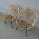 Rohe Noordwole 1950 vintage rattan and metal shell chairs