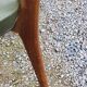 Pair of 50's Scandinavian style mahogany chairs