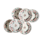 Old X6 flat plates in polychrome iron earth model "Passion" of the French manufacturer