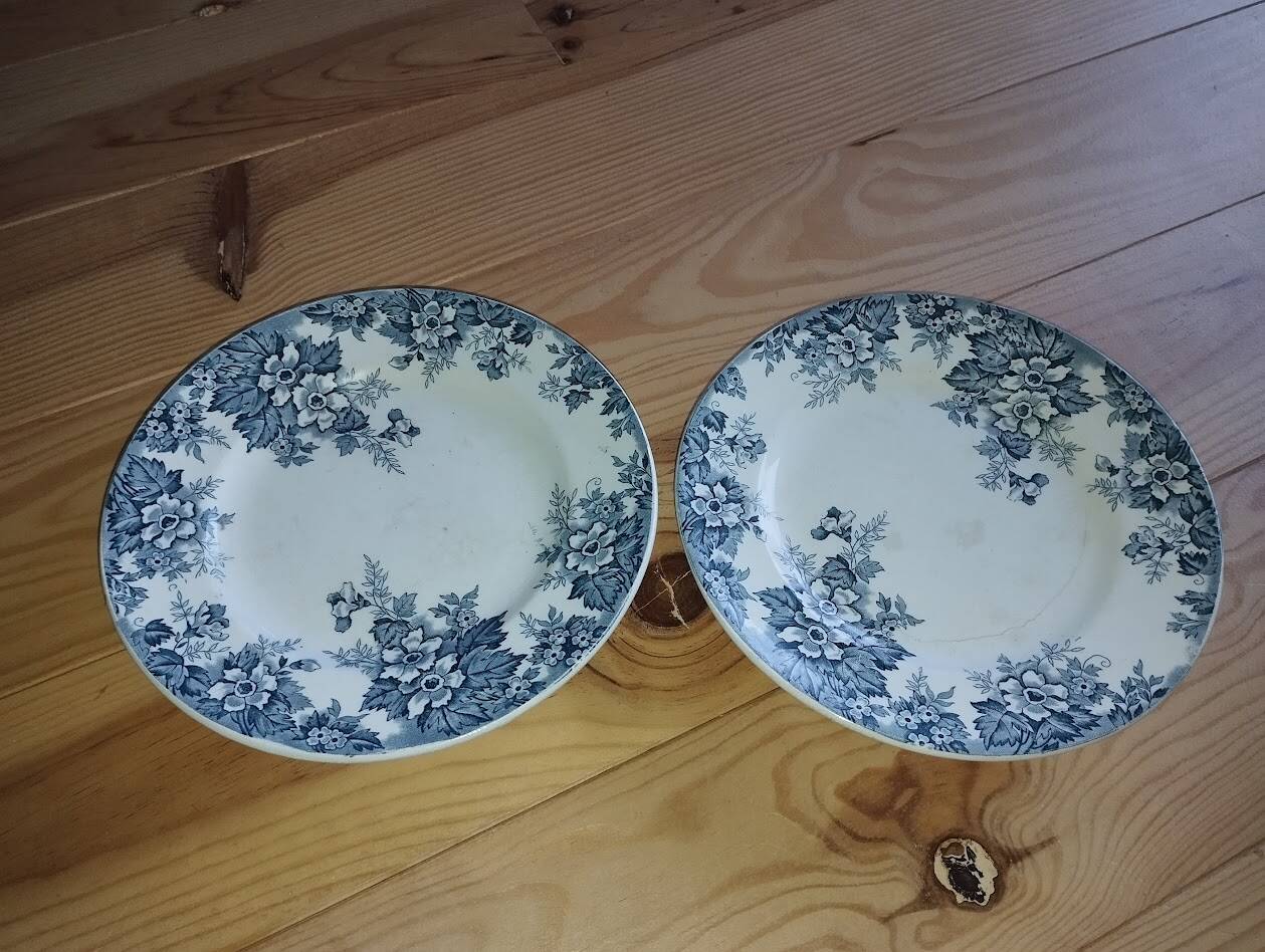 "Marie-Louise" Stacked Plates – Saint-Amand | Antique Pair 23 cm