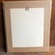 Old lithography botanical plate rose hundred sheets & golden frame vintage
