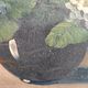 Vintage French oil painting of chrysanthemums, signed