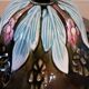 Suspended planter in slipware