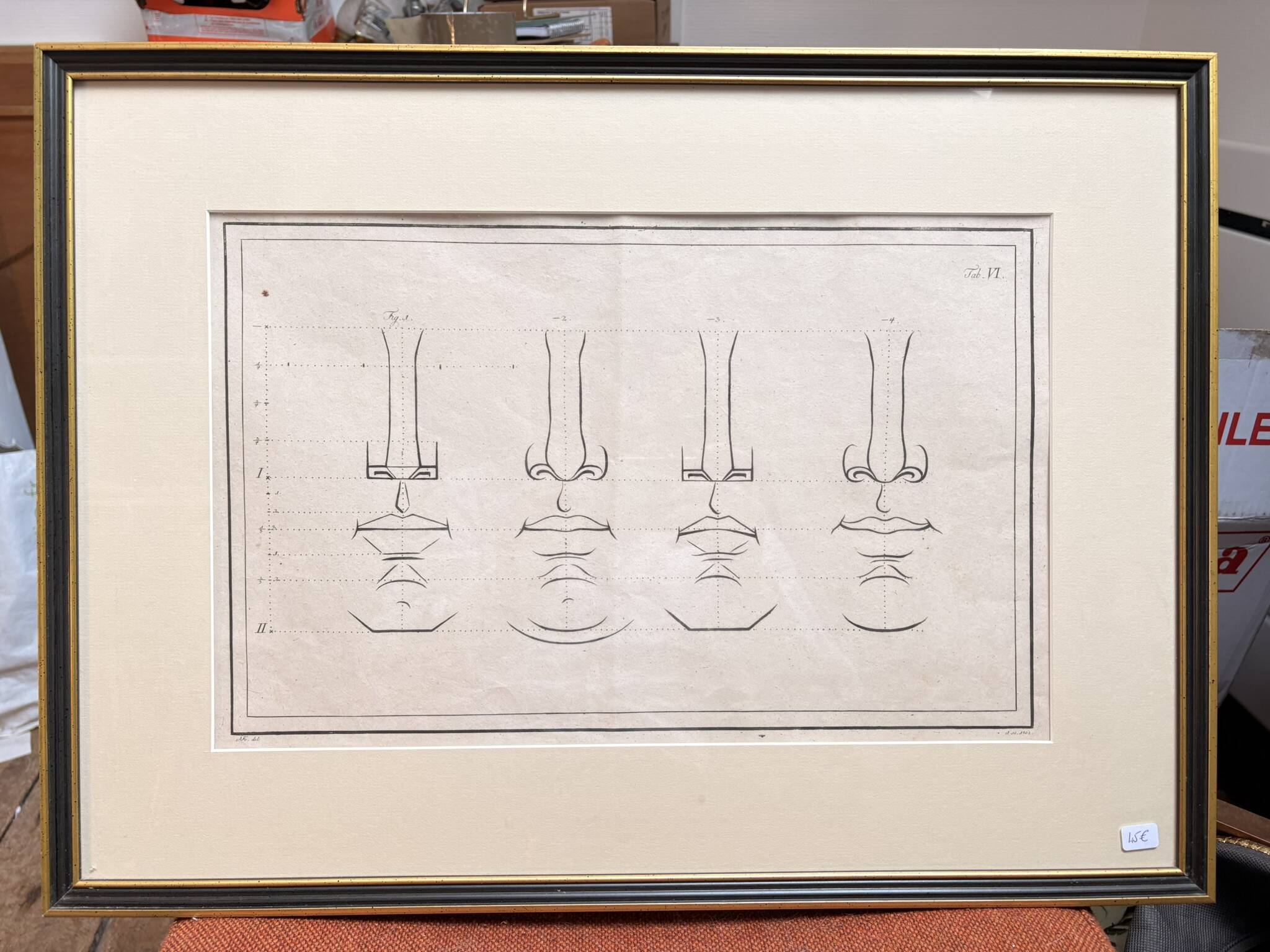 Old Print Engraving 19th Century Anatomy Nose Mouth Plate Head Morphology