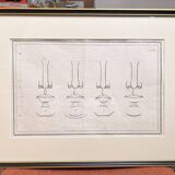 Old Print Engraving 19th Century Anatomy Nose Mouth Plate Head Morphology