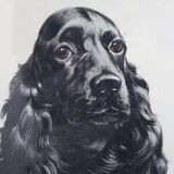 Animal portrait, painting signed by Jean Rivet, 1960s