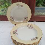 8 hollow plates L'Amandinoise