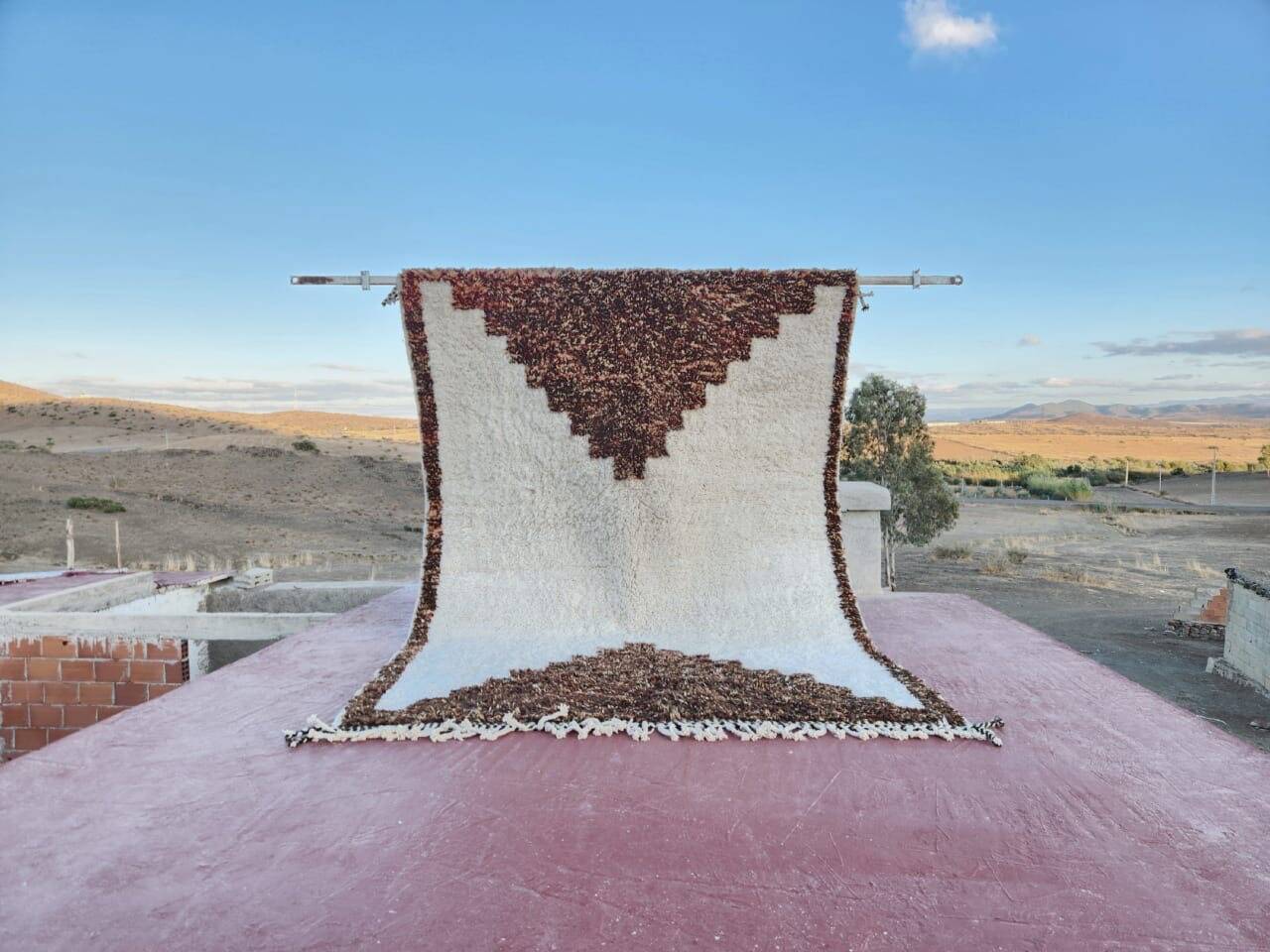 Beni Ouarain rug 300x200 cm – Thick wool with tribal patterns