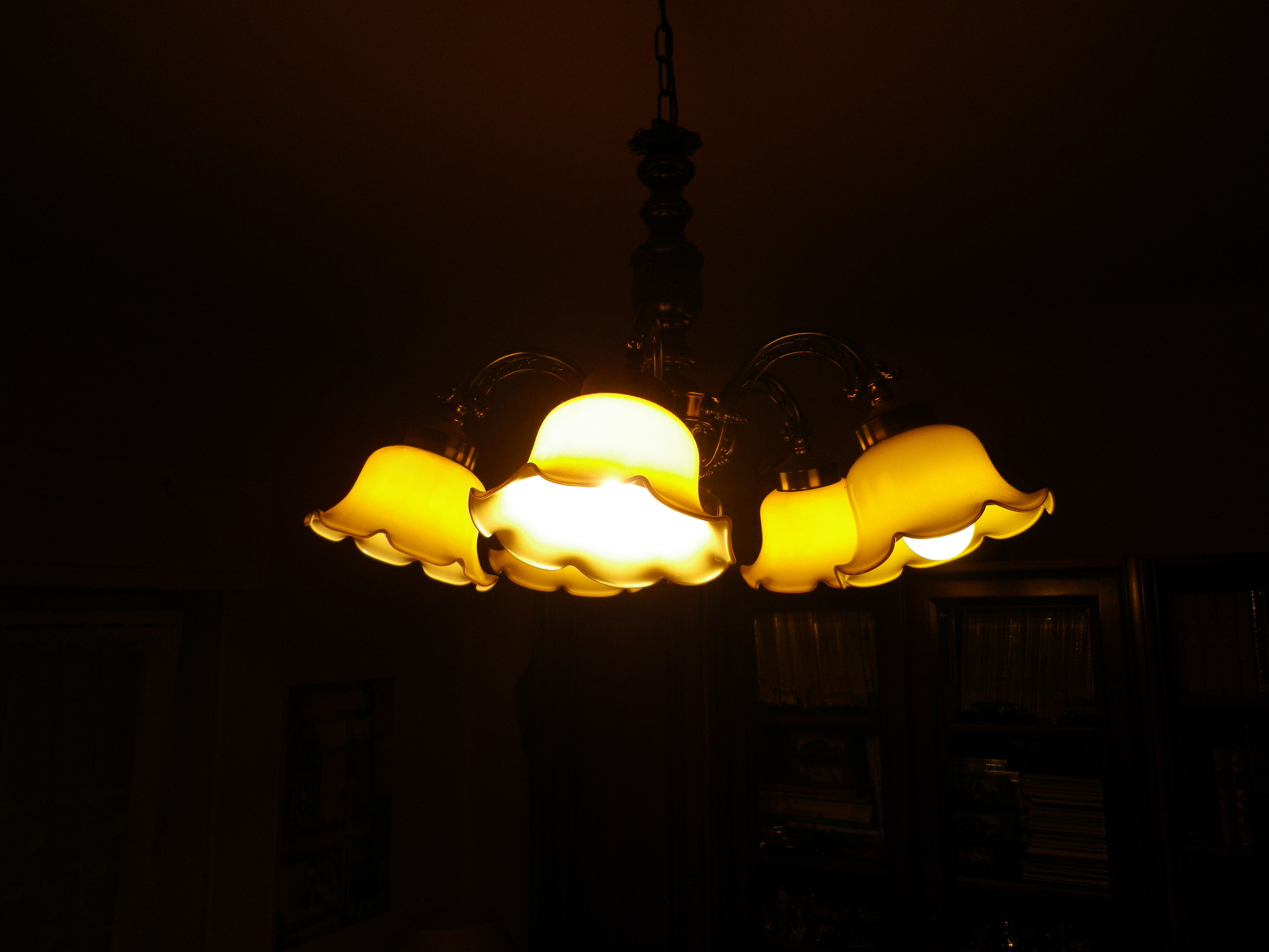 Five-branch suspension in wood and gold metal with a corolla opaline lampshade.