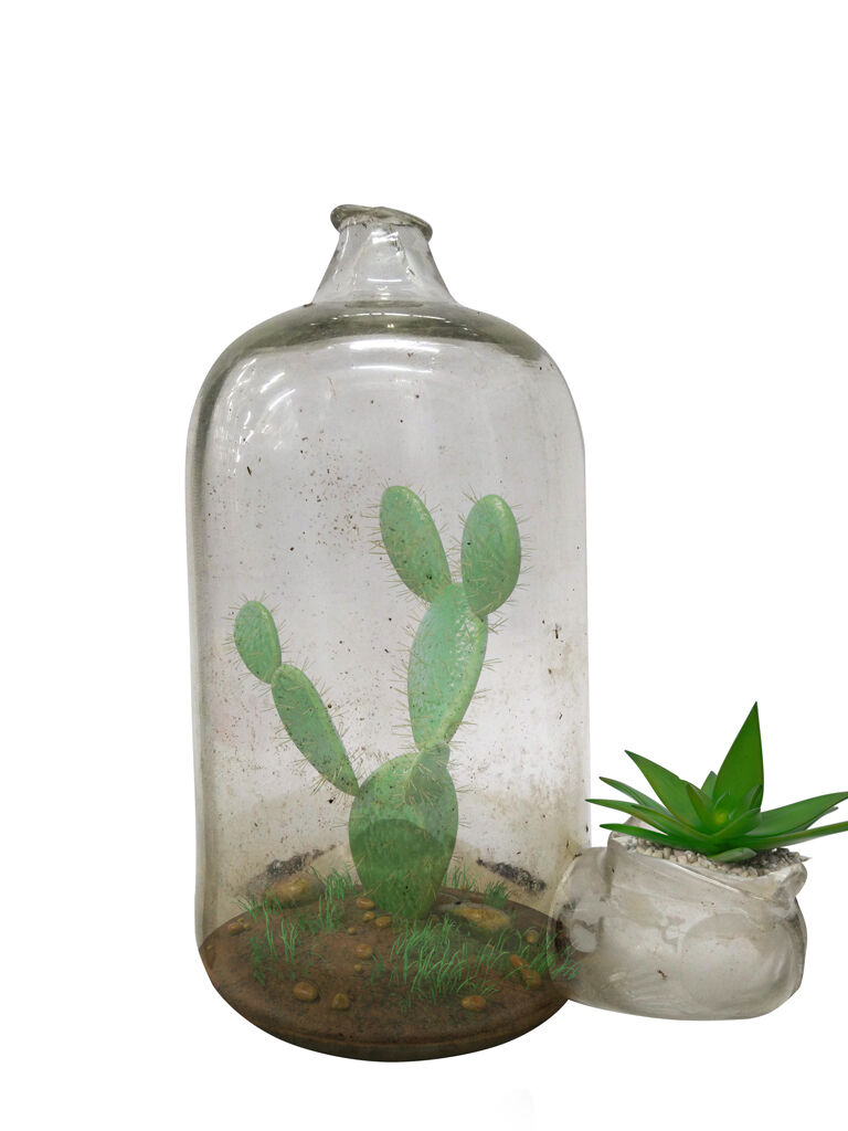 Vase Aquastop terrariu