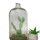 Vase Aquastop terrariu