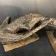 Sculpture animalière, chien en grès émaillé, 1960