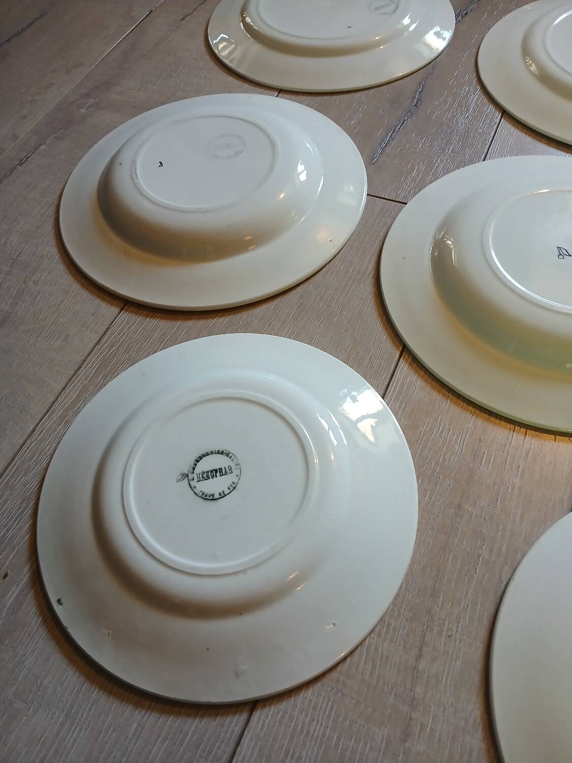 14 Terre de fer SALINS "Water Lily" plates