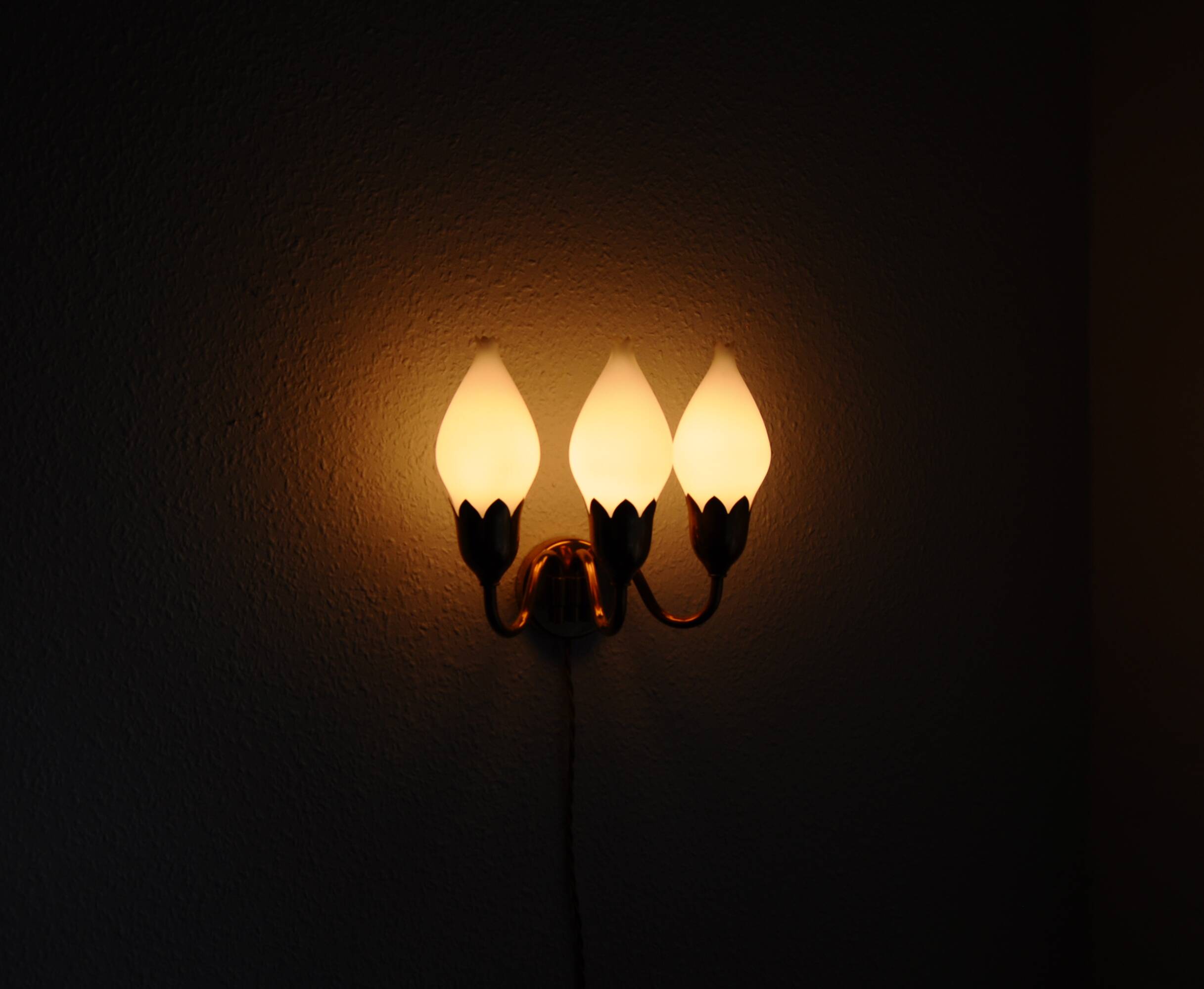 Fog & Mørup 3-Arm Brass and Opaline Glass Tulip Wall Lamp