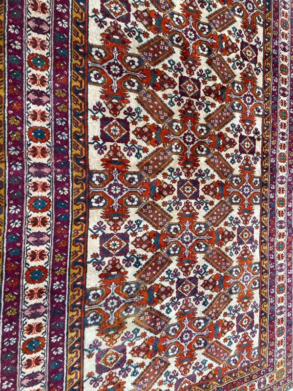 Vintage carpet chirwan caucasus 165x244 cm