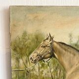 Oil painting on canvas horse
