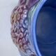 Salins purple pitcher