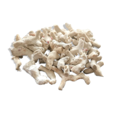 Lot of white corals