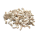 Lot of white corals