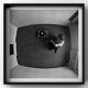 Photo aérienne d'un homme avec un tourne-disque, 1976