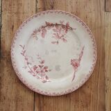 Assiettes anciennes Sarreguemines "Favori"