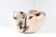 Objet 'Skall'