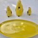 salt shaker, pepper shaker, mustard Set condiment service, porcelain Pfeffer Gotha - penguins