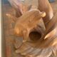 Table basse dauphin