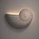 Nautilus Wall Lamp