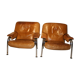 Paire de fauteuils de Hans Eichenberger pour De Sede