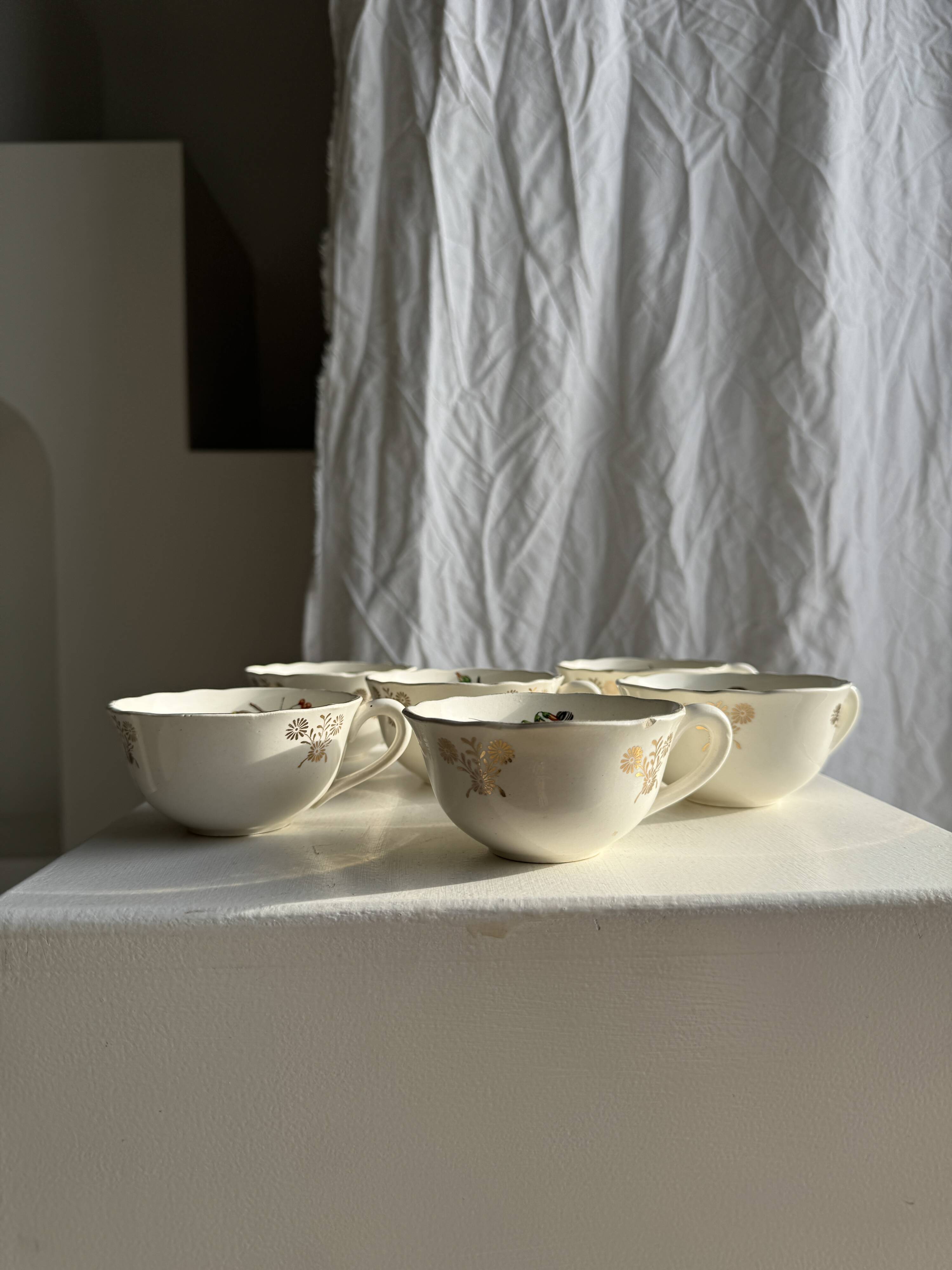 Lot de 6 tasses à café à motifs d'oiseaux anciennes