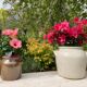 Brown stoneware jar