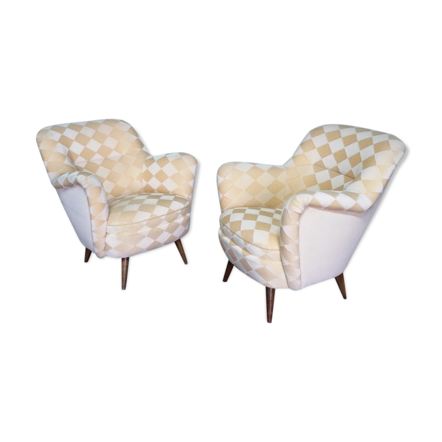 Organic year 50-60 club chairs pair
