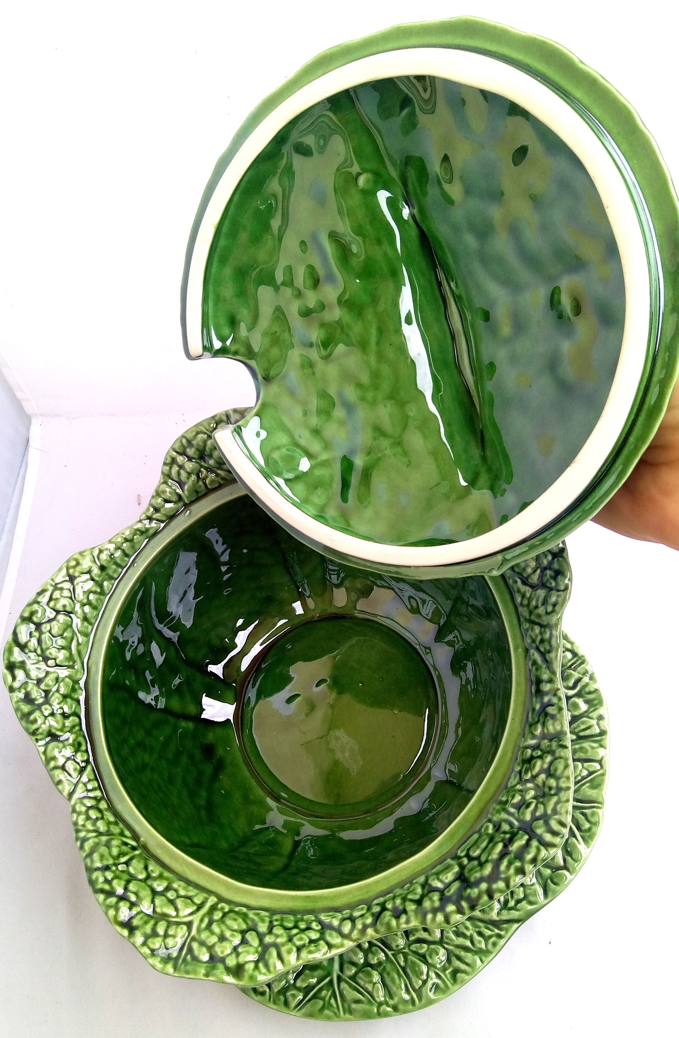 Dabbling cabbage leaf soup bowl