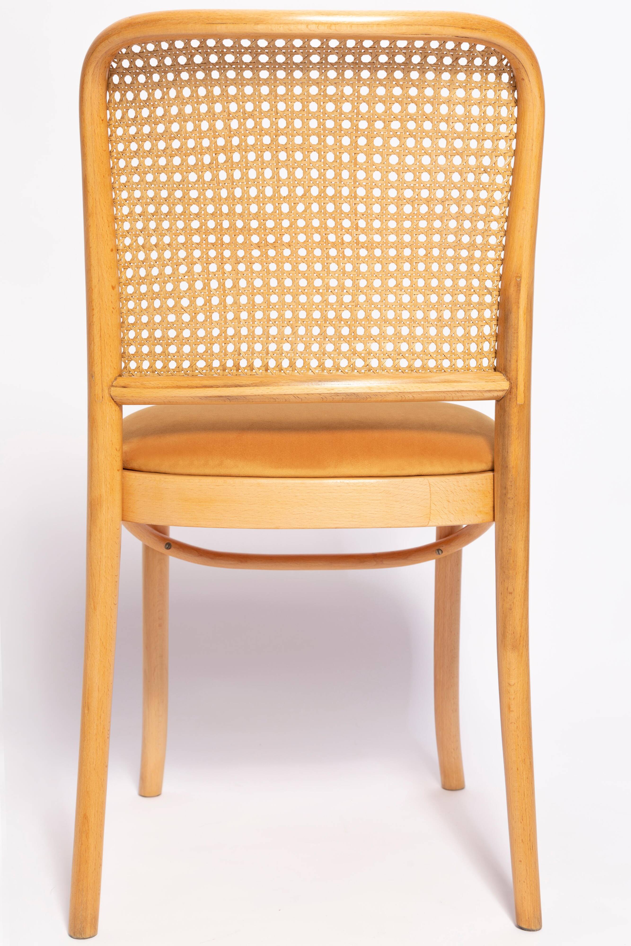 Thonet chair in rattan and yellow velvet wood from the mid-century, Europe, 1960s.