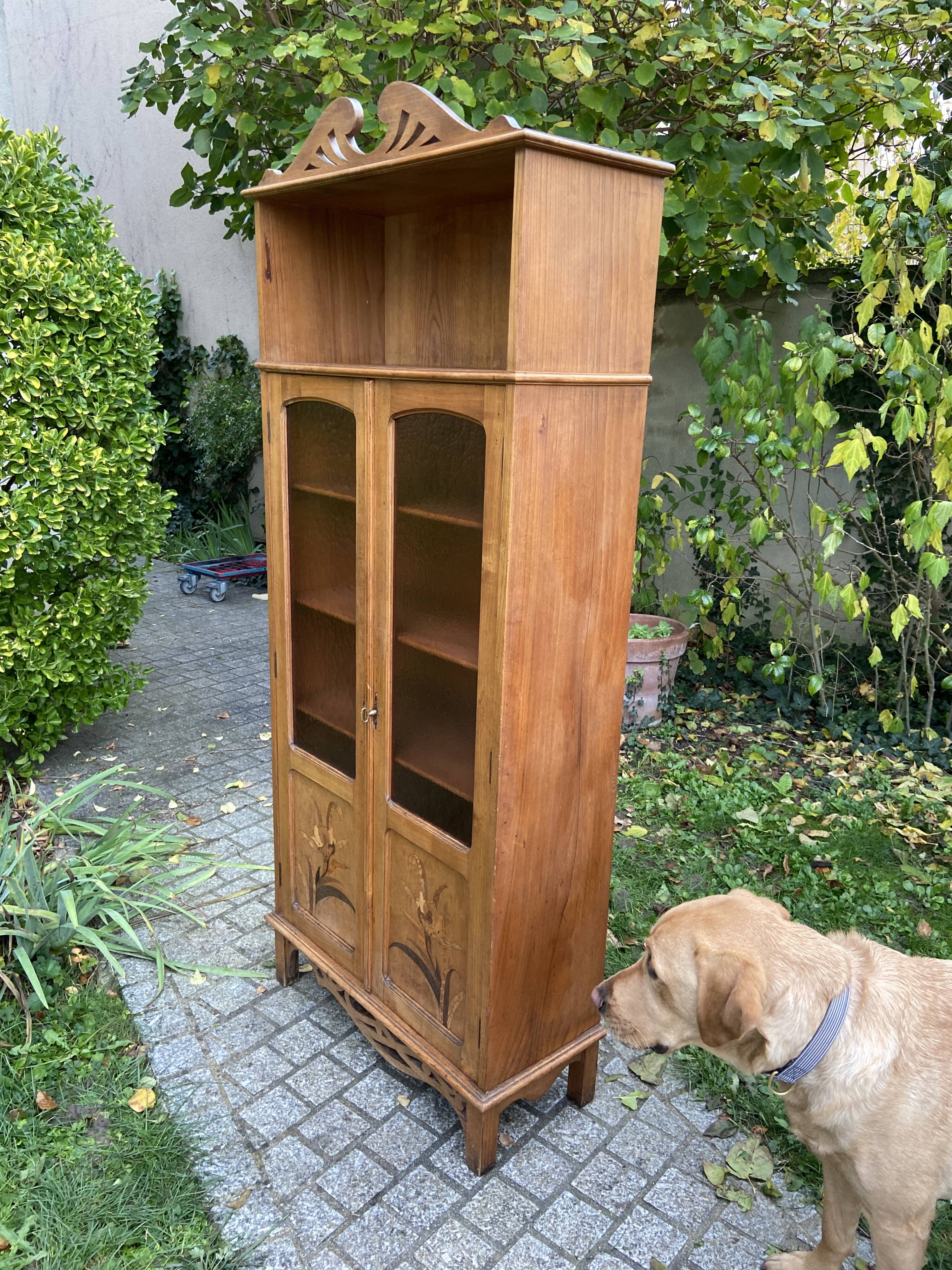 Showcase library Art Nouveau early twentieth century