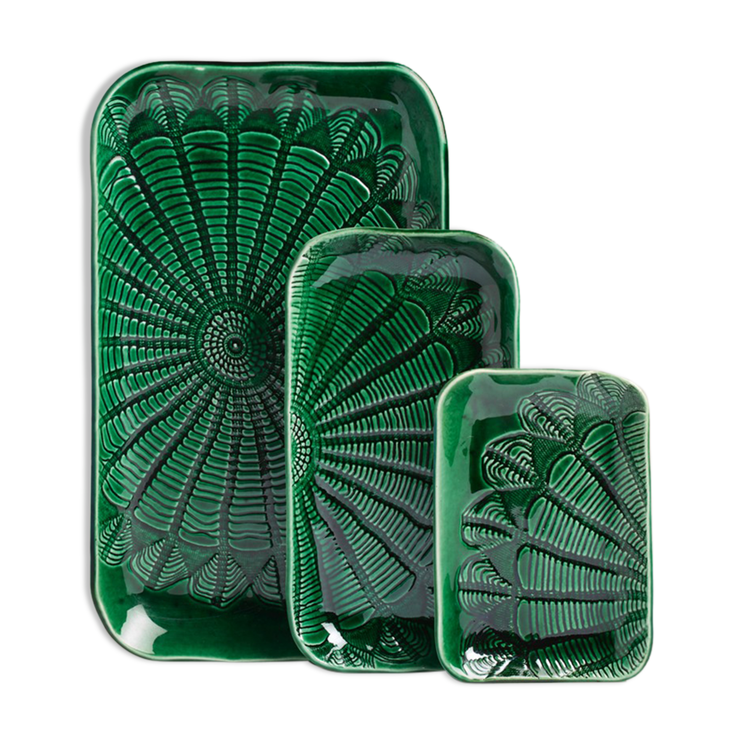 Box plata verde S,M,XL