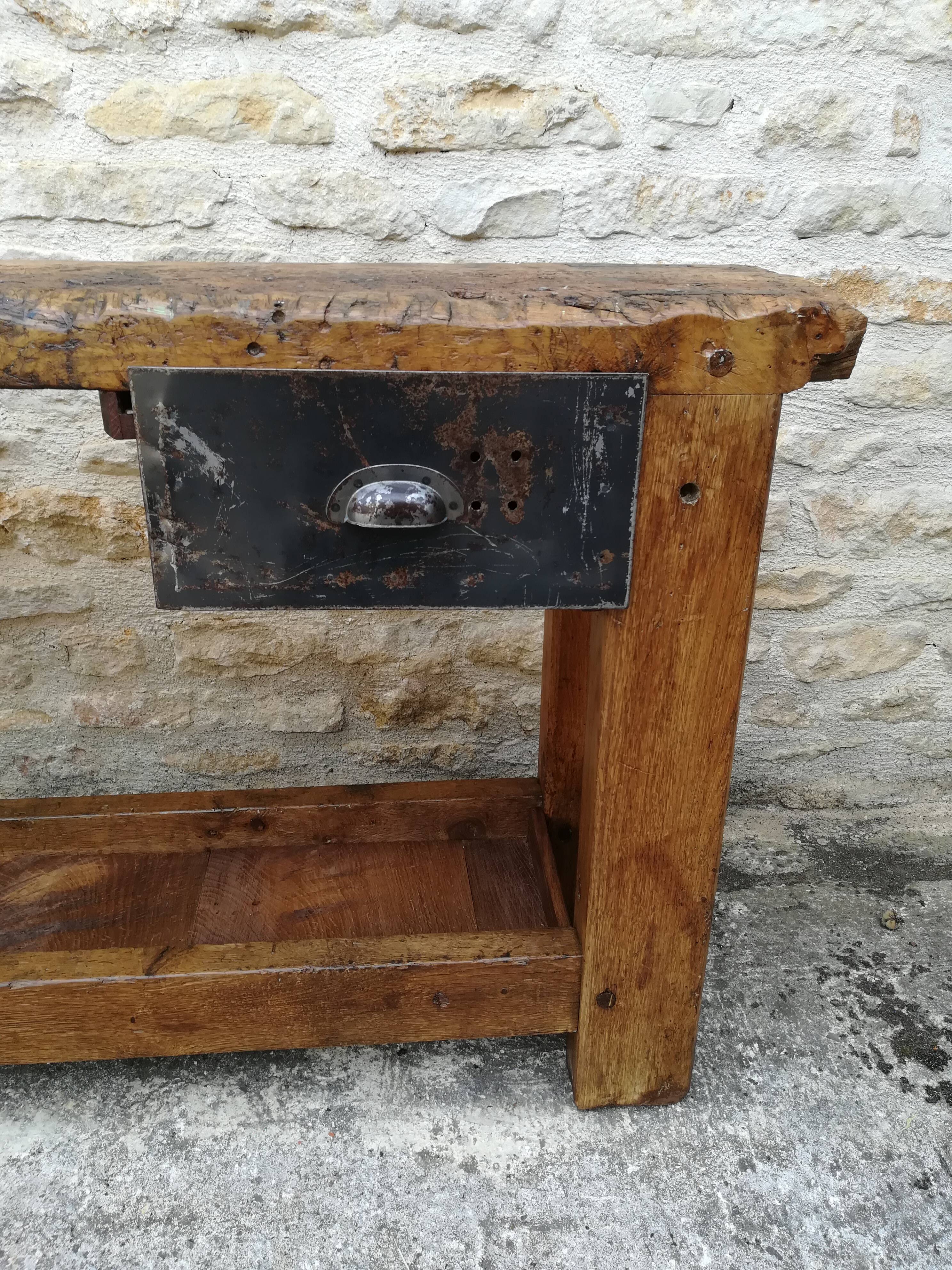 Established in elm and oak