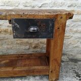 Established in elm and oak