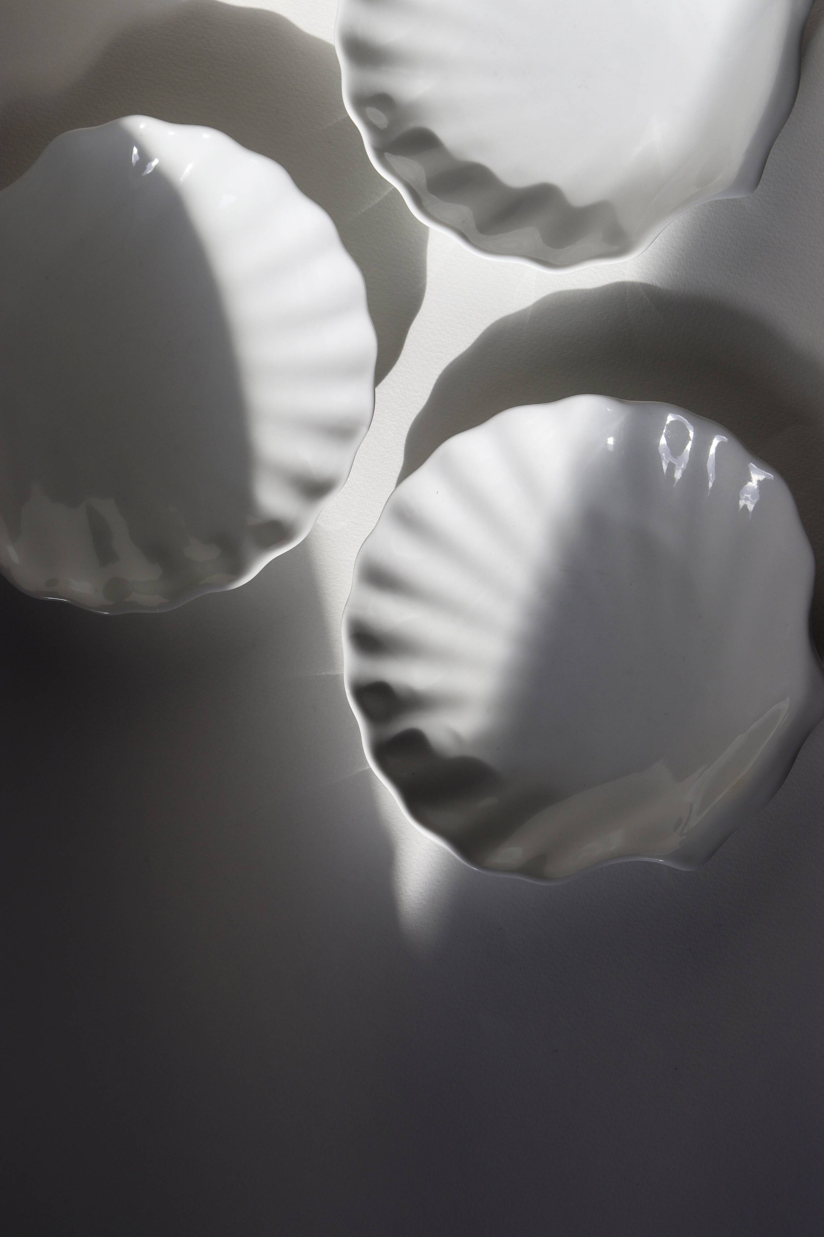 White shell cup