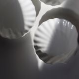 White shell cup