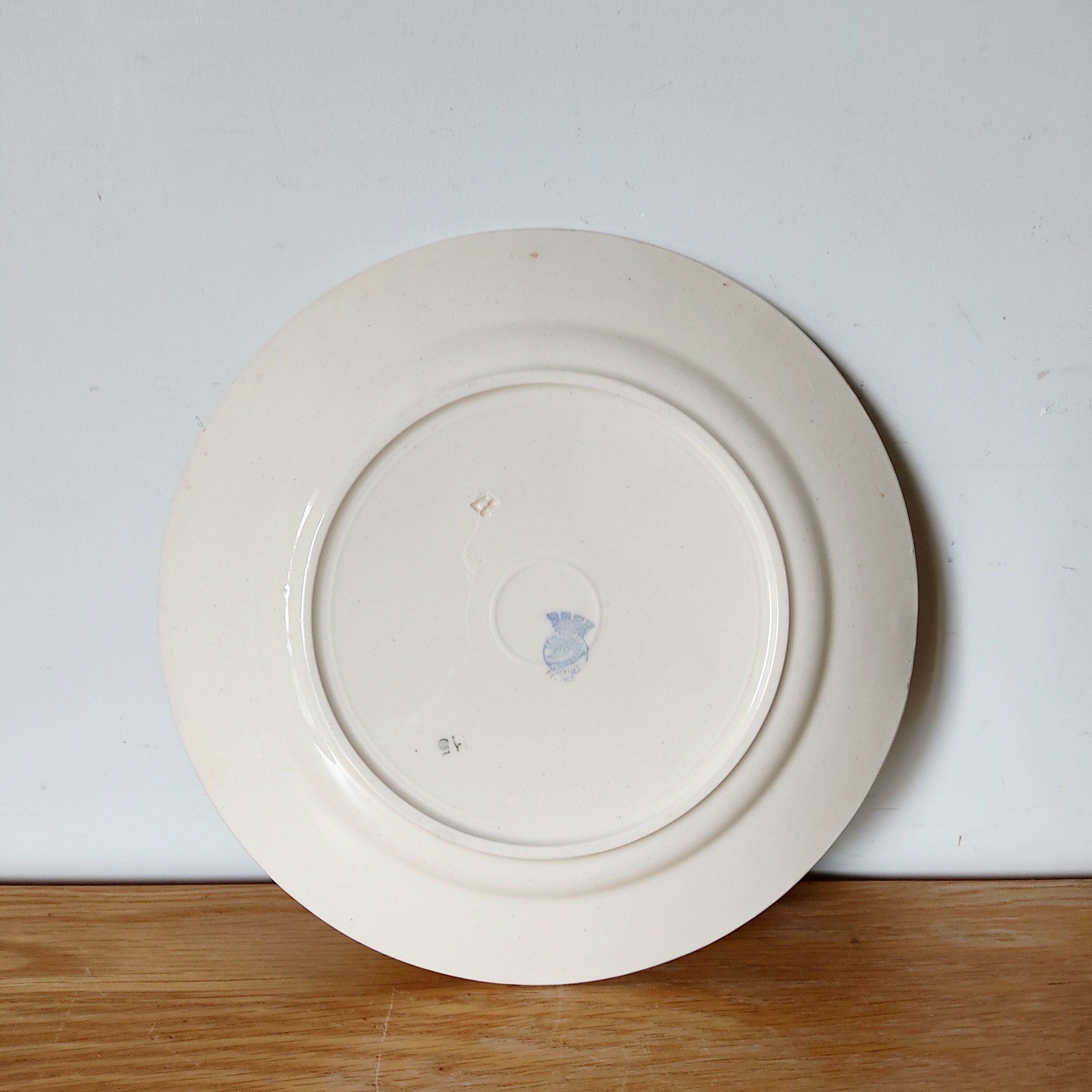 6 old flat plates