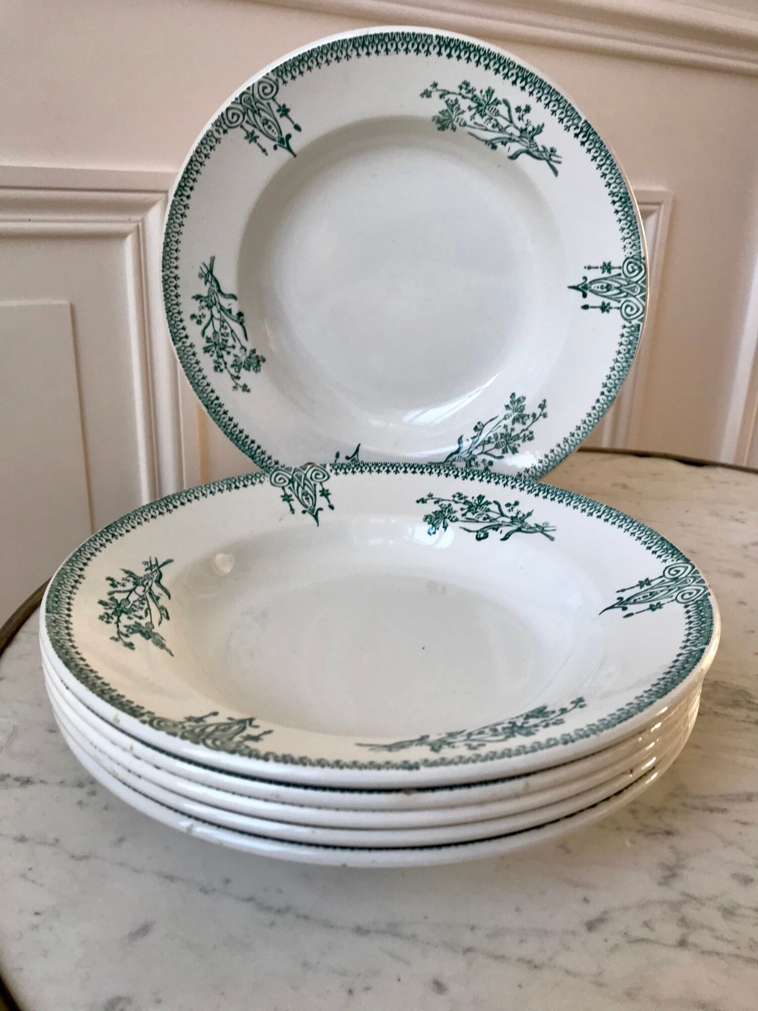 Lot of 6 hollow plates Terre de Fer Saint-Amand late nineteenth