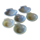6 dishes with scallops in opaline from Arcopal in very good condition