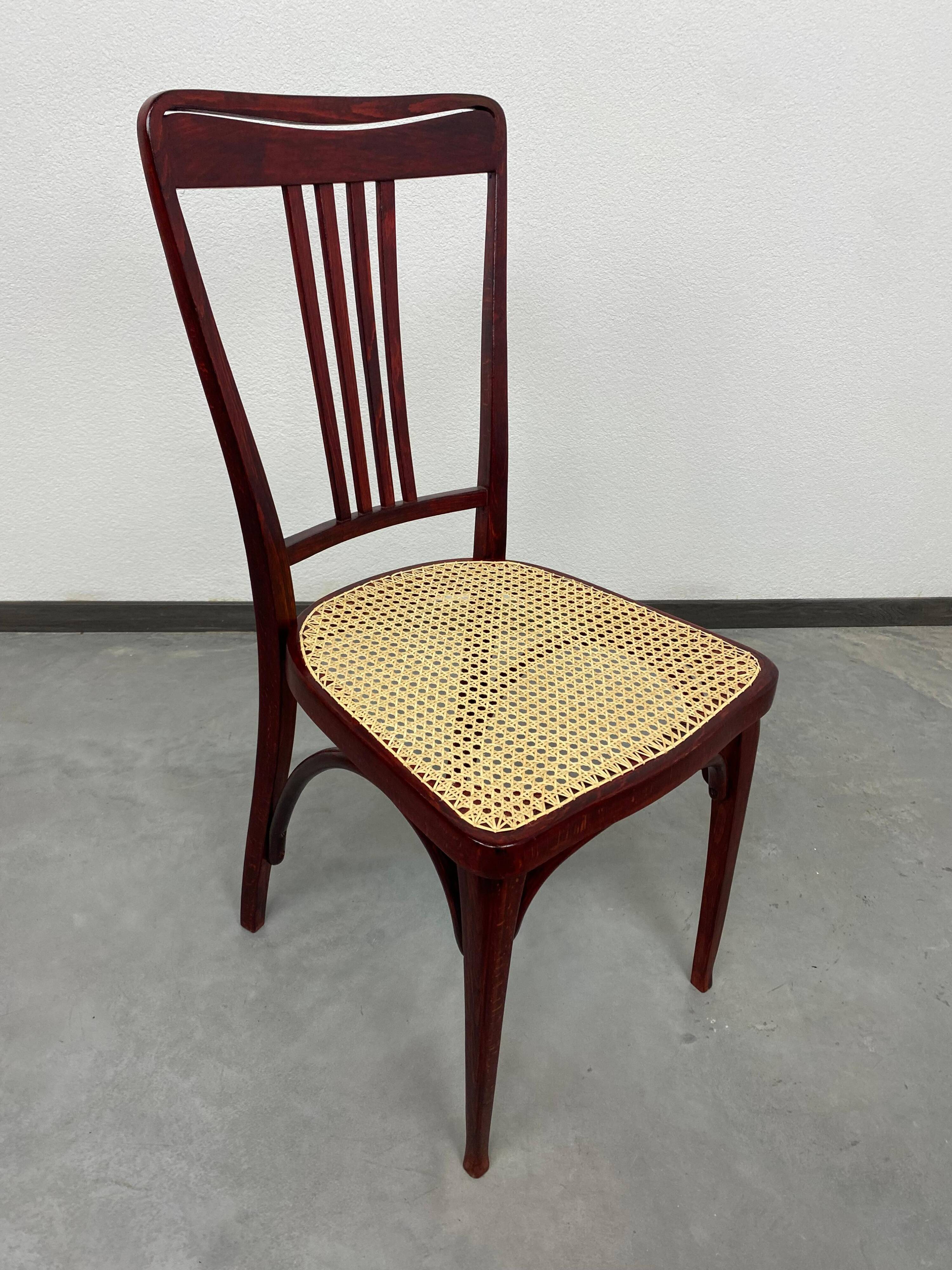 Secession dining chairs by Thonet